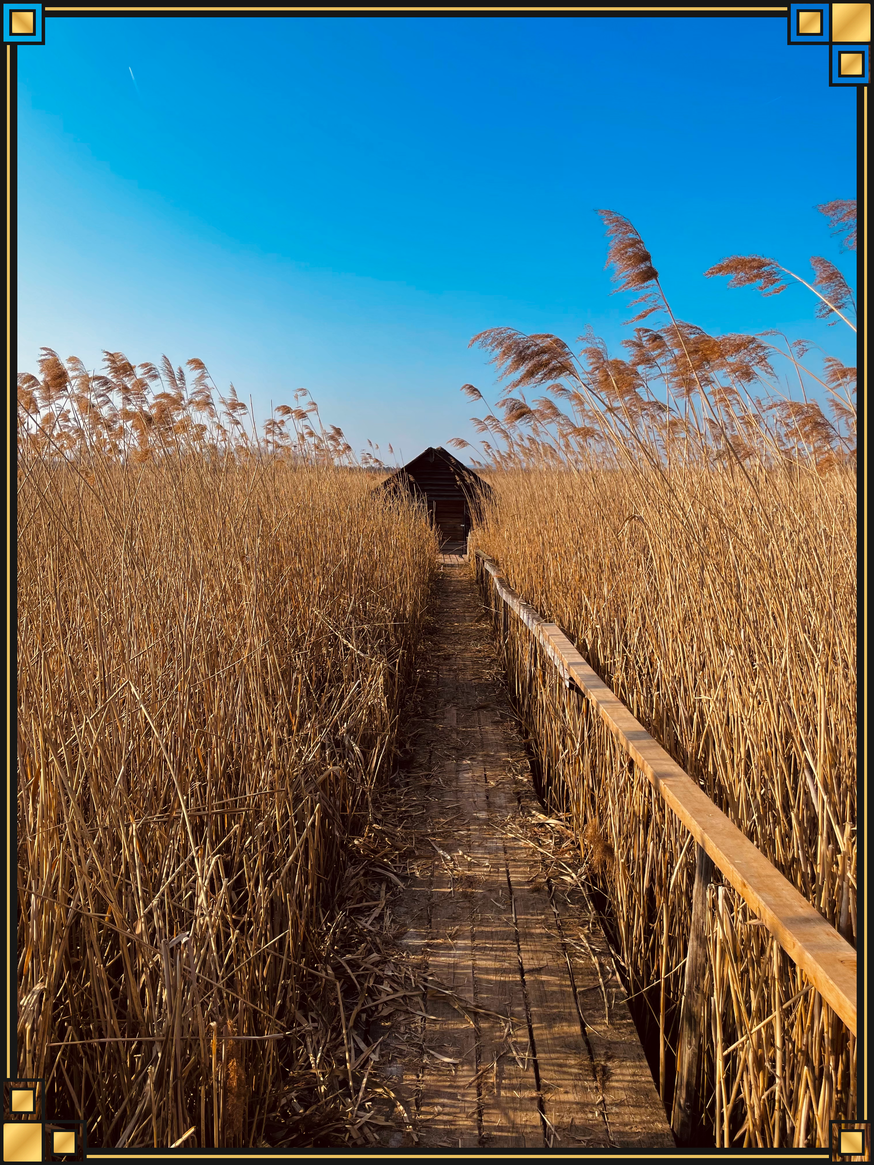 Portfolio Bild