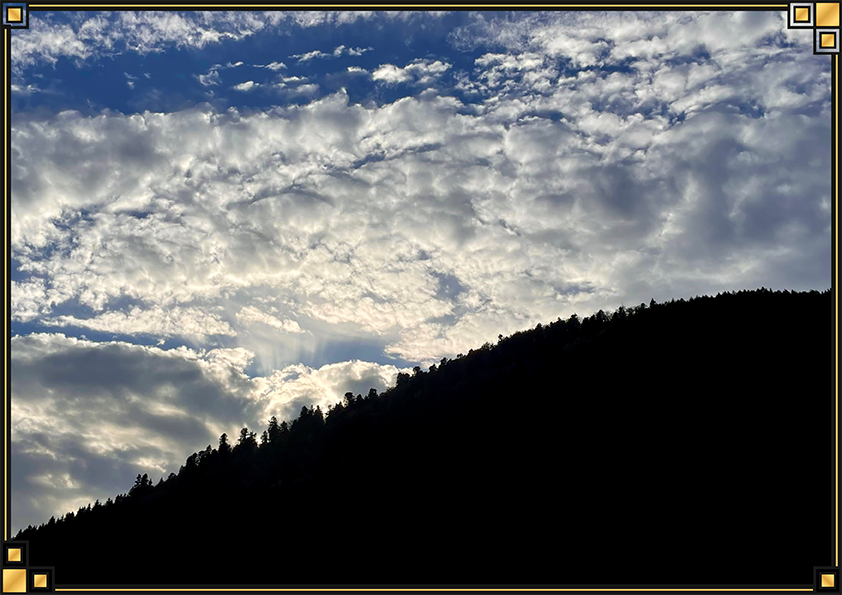 Portfolio Bild