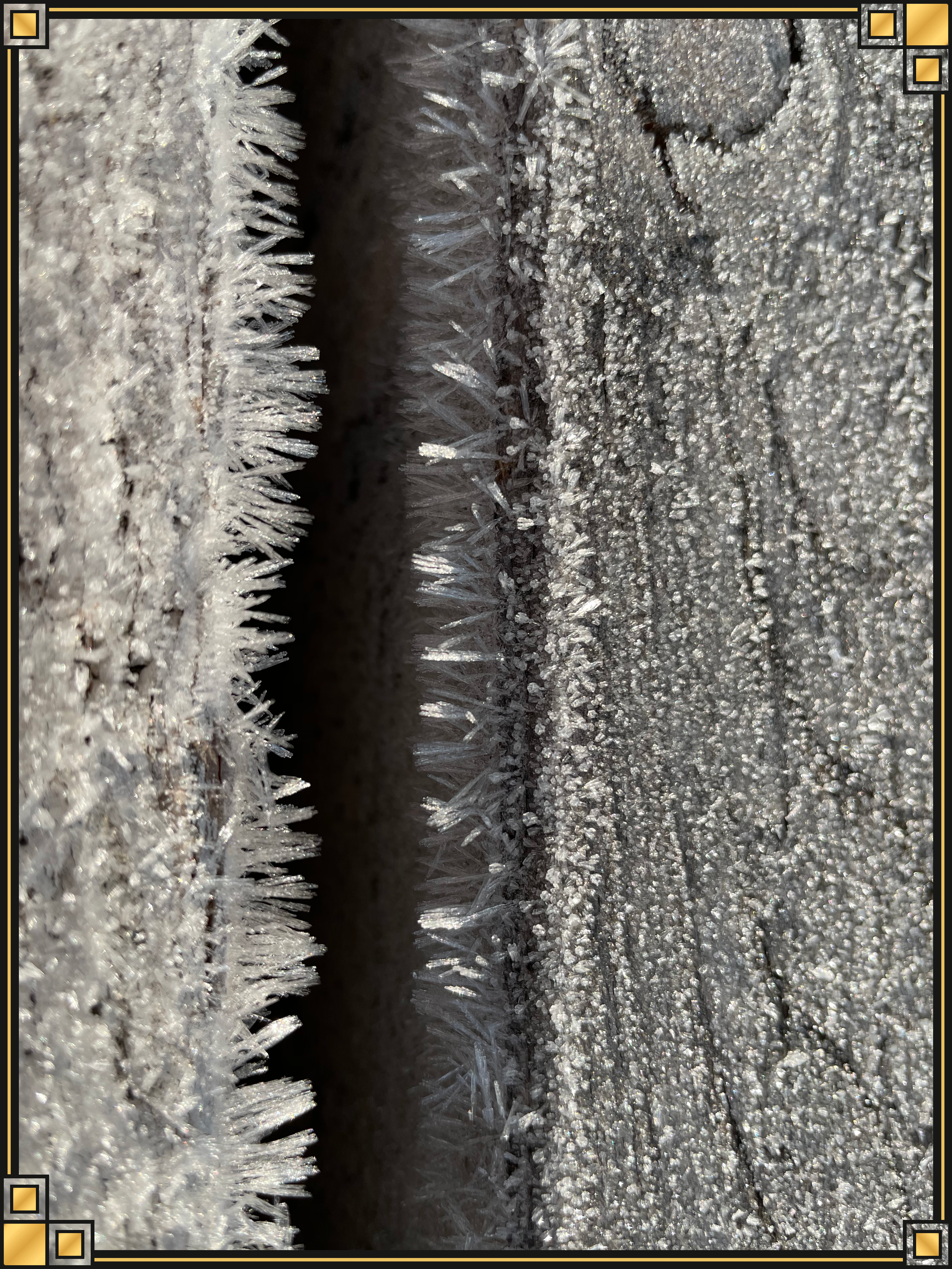 Portfolio Bild