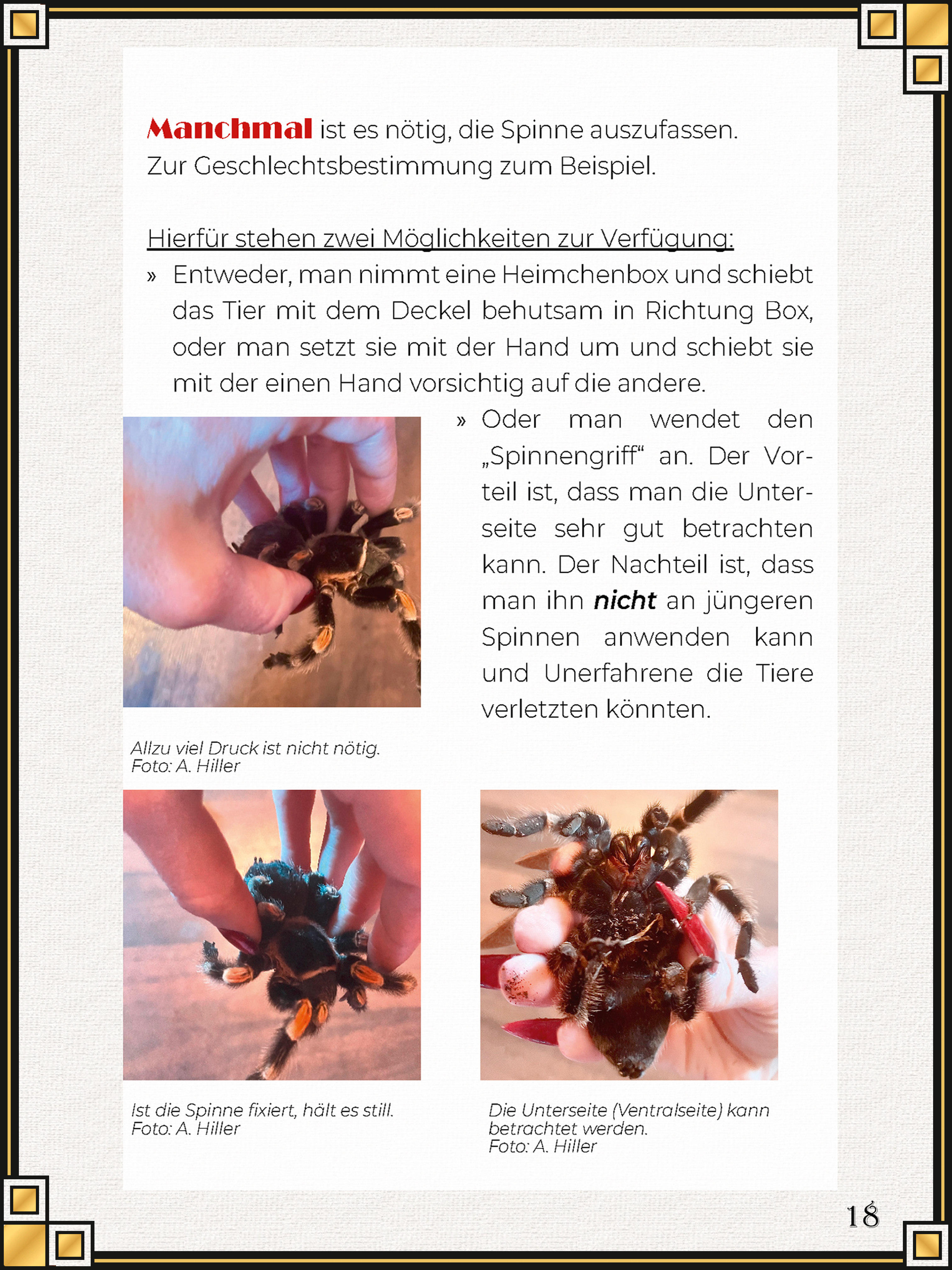 Portfolio Bild