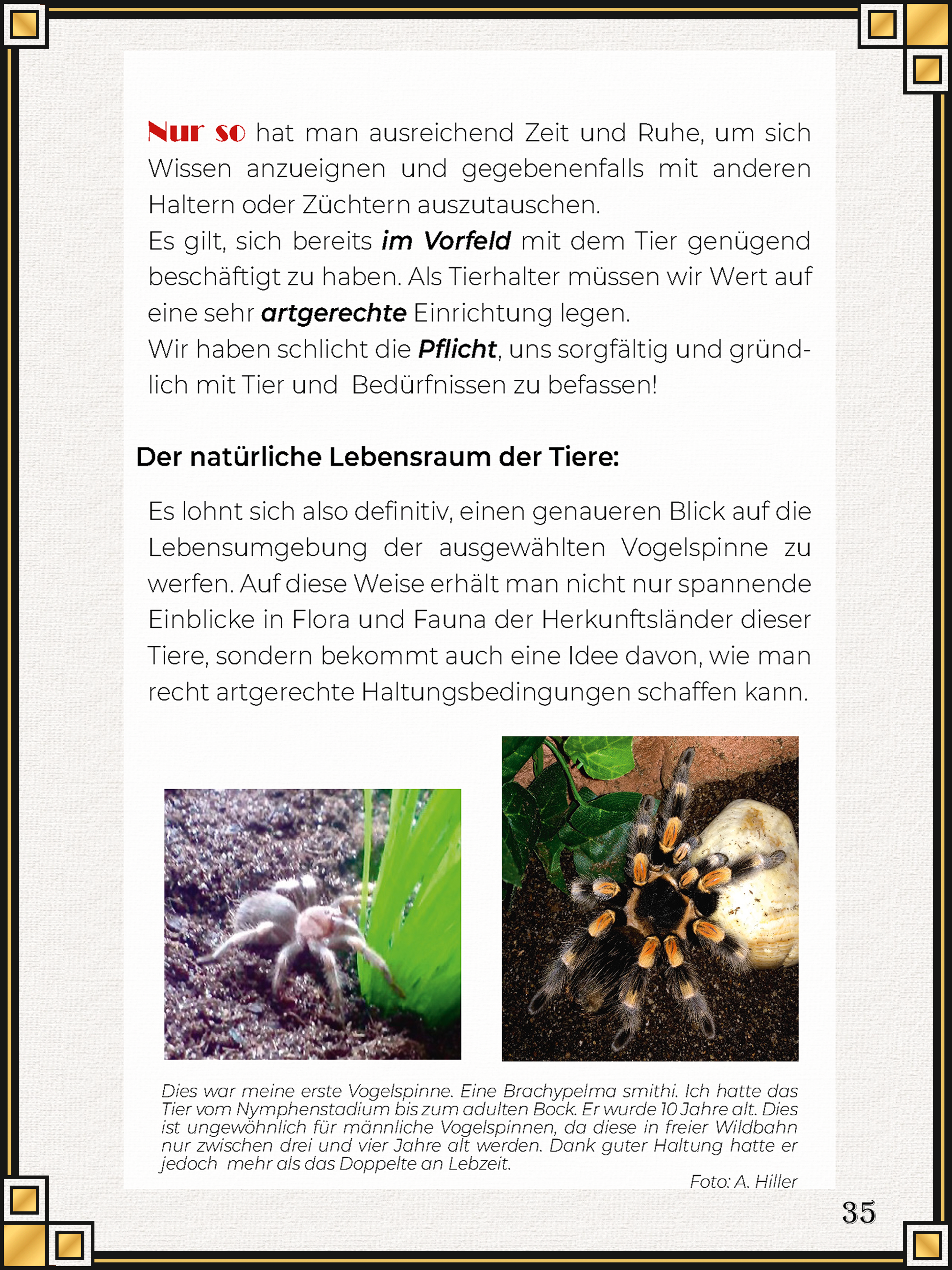 Portfolio Bild